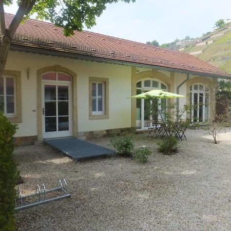Villa Jordan Radebeul Esterno foto